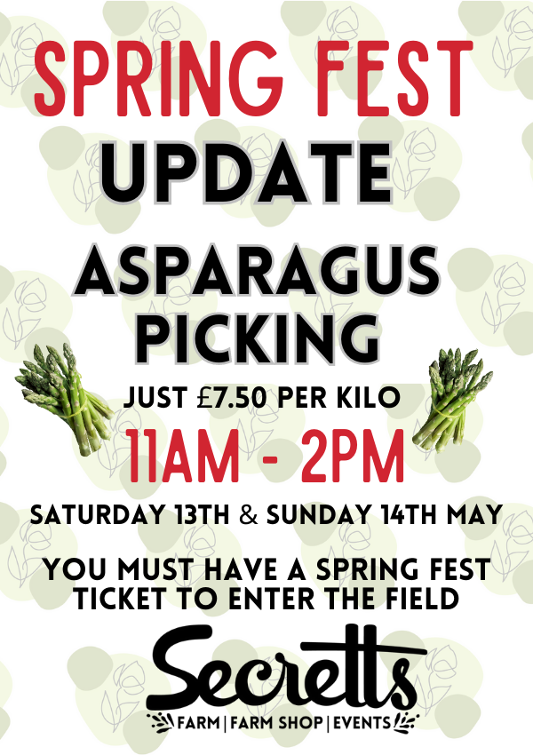 SPRING FEST