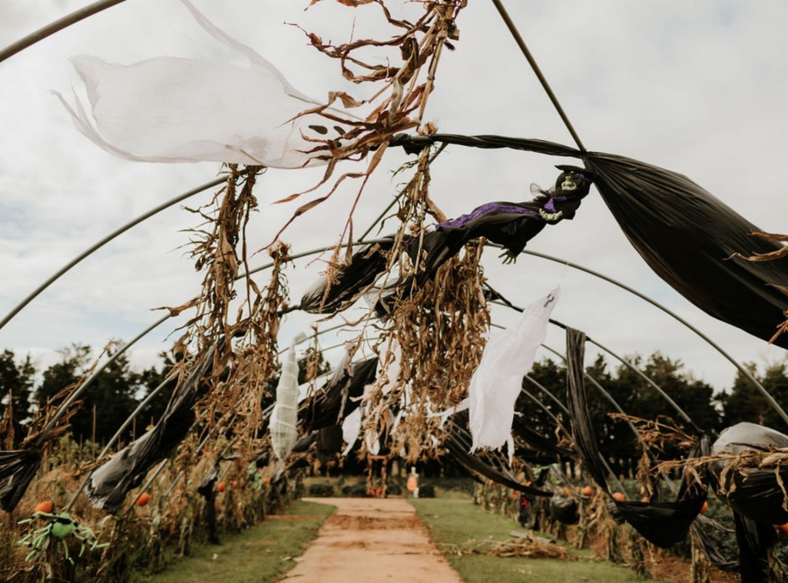 Secretts Halloween trail